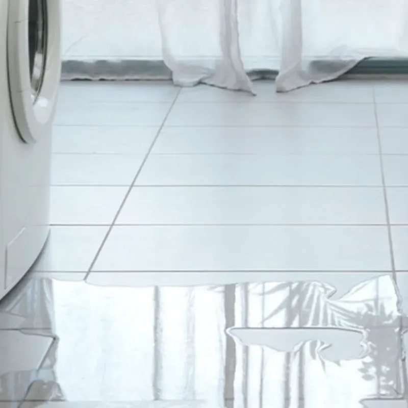 Appliance Leak Cleanup in Mount Dora, FL